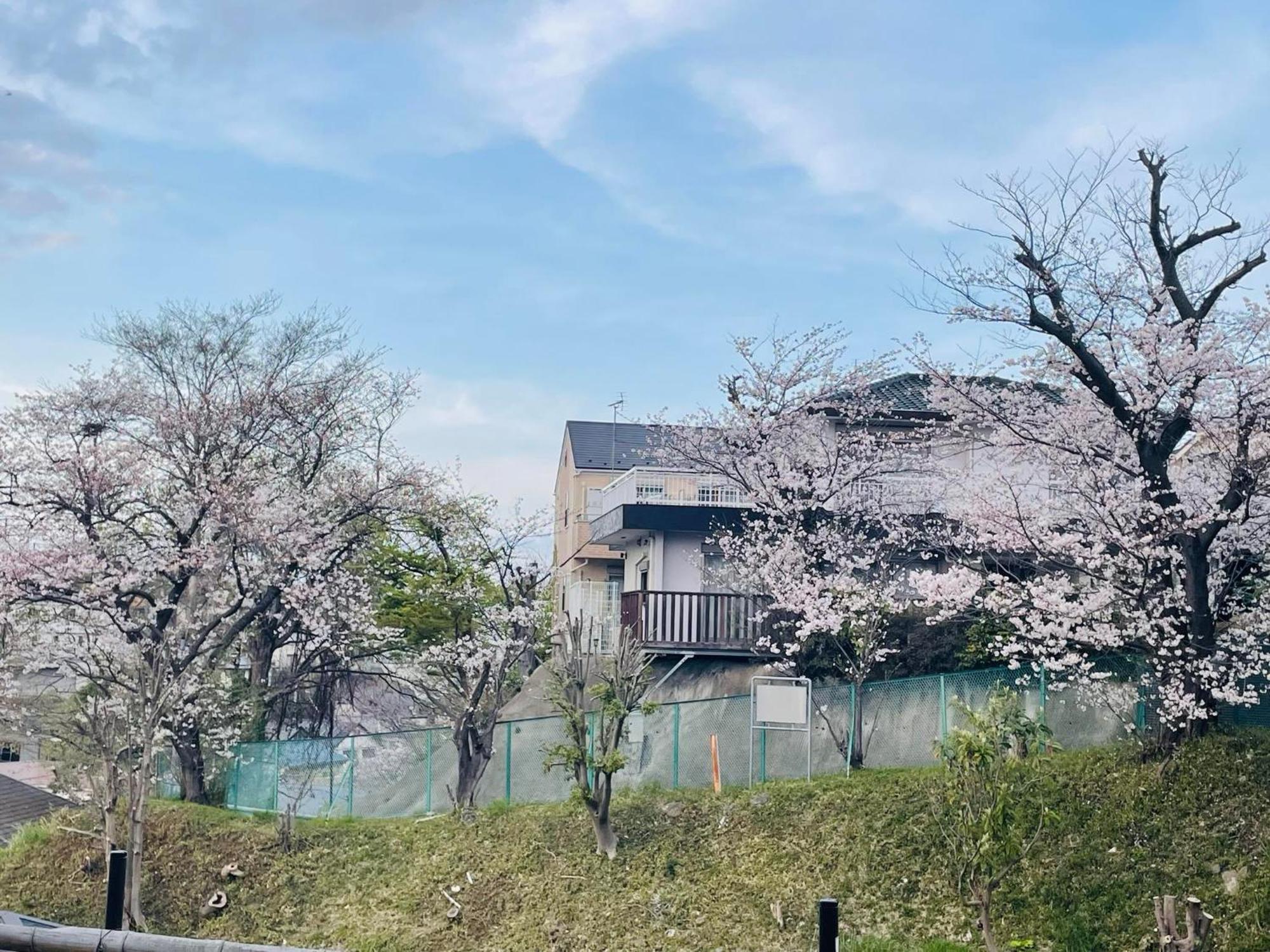 ソフィアハウス横浜 -女性専用シェアハウス- Sopfia House Yokohama For Women Only Shared House Hotel Exterior photo